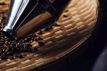 Індійська кава: історія, види та особливості вирощування